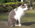 IMG_1682s.jpg