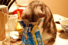 パスタ