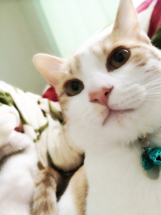S__9994258.jpg