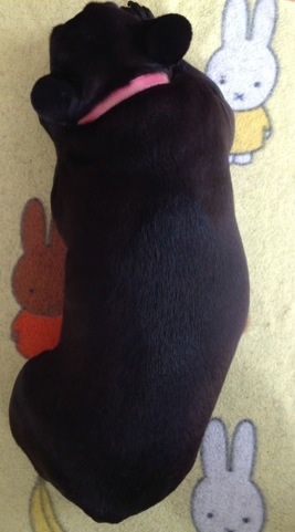image_20130415184730.jpg