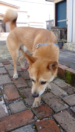 image_20130423102745.jpg