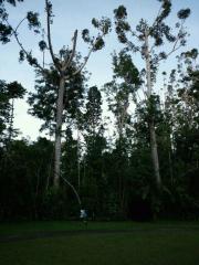 iphone_20110926131235.jpg
