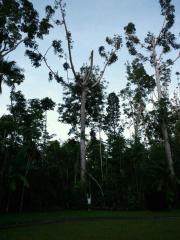 iphone_20110926131323.jpg