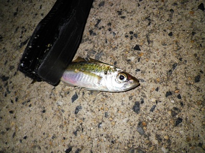 20111002_00312.jpg