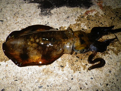 20111004_002.jpg
