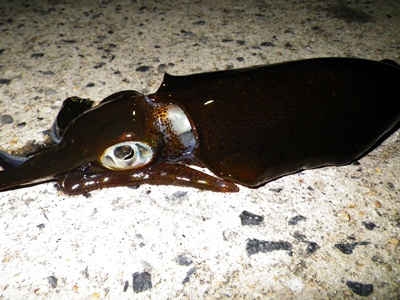 20111007_003.jpg