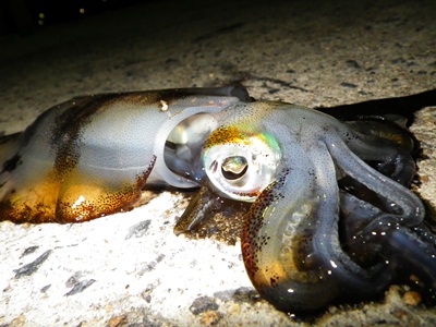 20111007_005.jpg