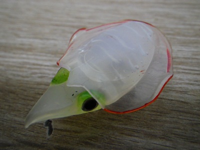 20111021_004.jpg