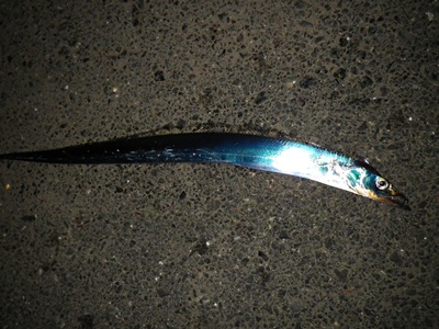 20111024_001.jpg