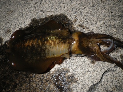 20111024_015.jpg