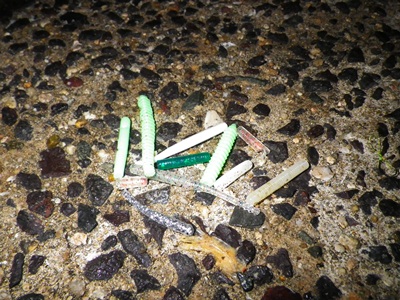 20111104_004.jpg