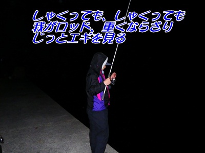 20111123_003.jpg