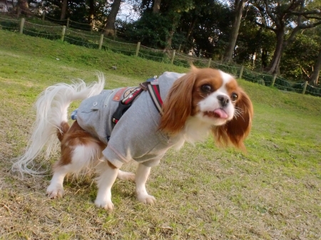 2012033106.jpg