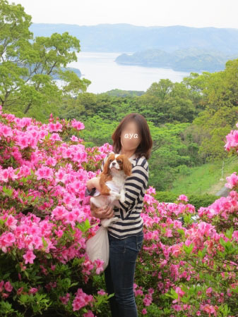 アヤハピ