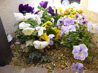 P1000727.jpg