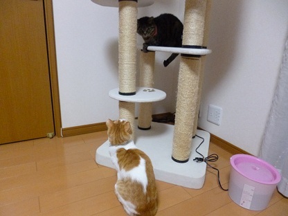 P1000744.jpg