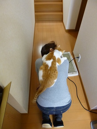 P1000795.jpg
