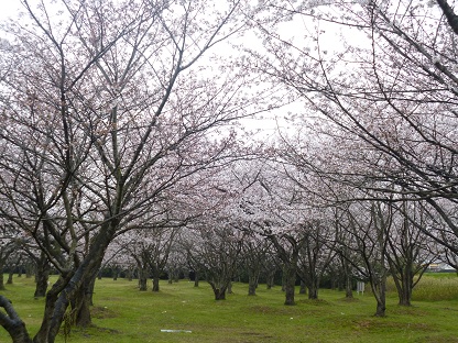 P1000821.jpg