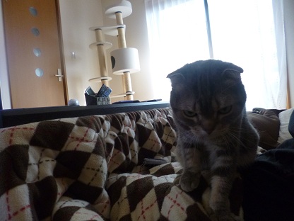 P1000971.jpg