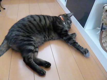 P1020099.jpg