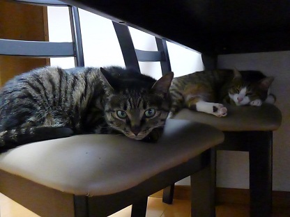 P1020149.jpg