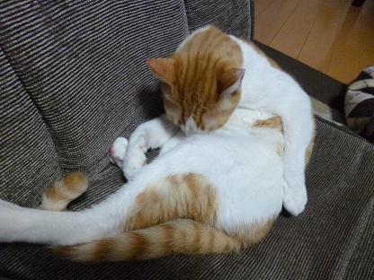 P1020190.jpg