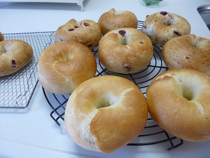 P1020194.jpg