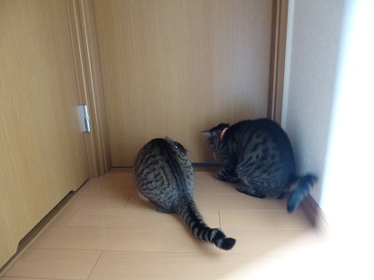 P1020200.jpg