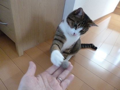 P1020211.jpg