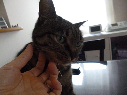 P1020229.jpg
