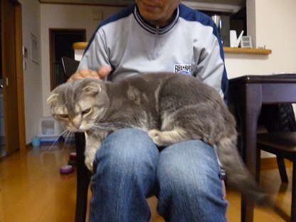 P1020244.jpg