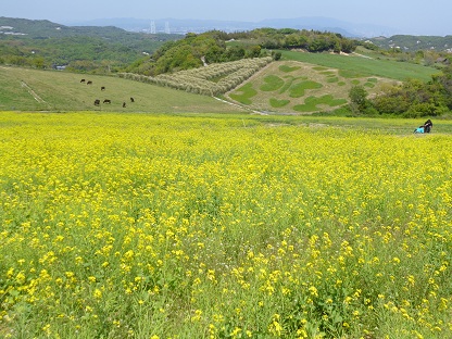 P1020346.jpg