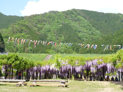 P1020451.jpg