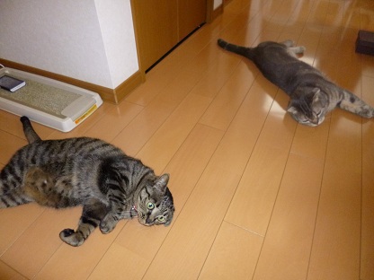 P1020502.jpg