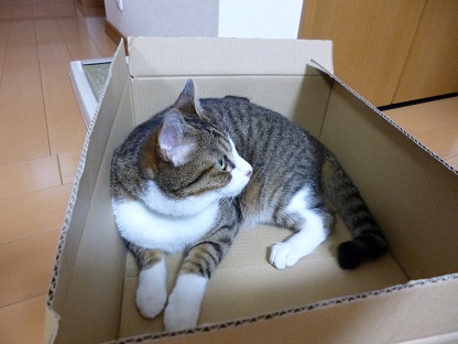 P1020584.jpg