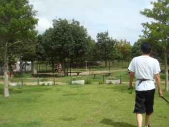 DSC06498.jpg