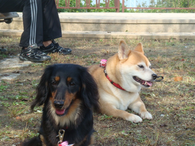 DSC06843.jpg