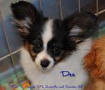 110828dee