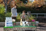 20131123pulsech.jpg