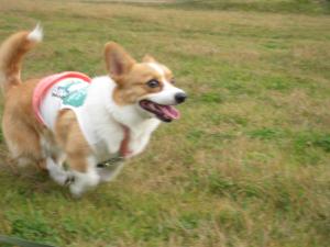 IMG_2318_convert_20111121221739.jpg