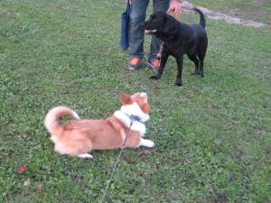 IMG_2427_convert_20111125.jpg