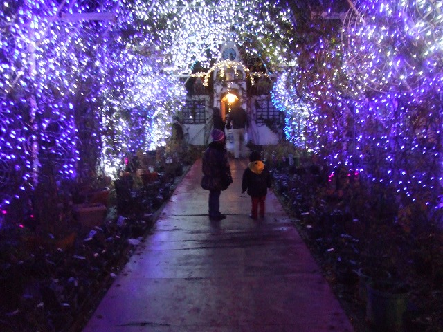 DSCF0829.jpg