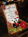 panda