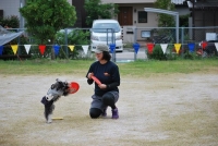 09.jpg