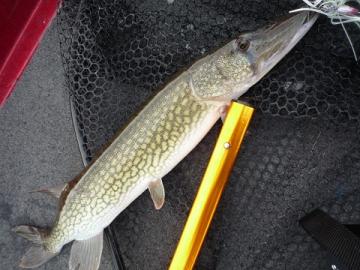 20120223-1.jpg
