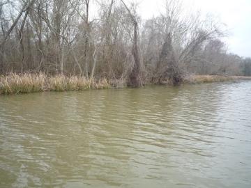 20120223-3.jpg
