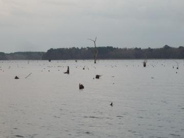 20120223-8.jpg