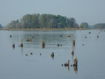 20120325-10.jpg