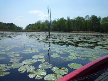 20120325-11.jpg