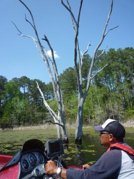 20120325-6.jpg